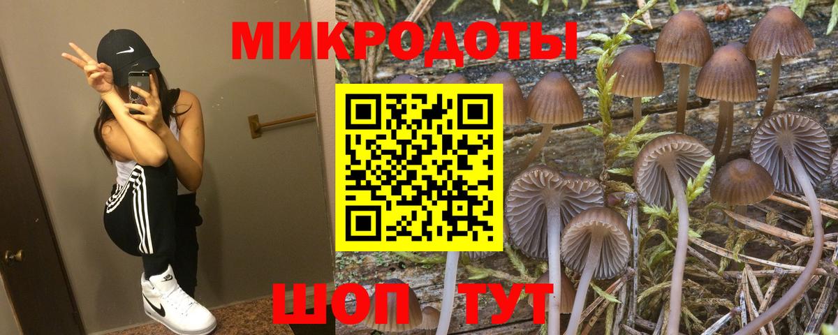 Галлюциногенные грибы мицелий  Вход с VPN  Барнаул 